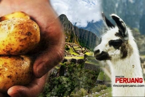 10 características de los peruanos